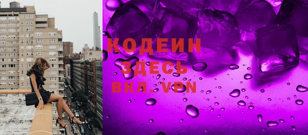 индика Дмитровск