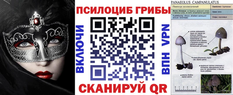 цена   Видное  Галлюциногенные грибы прущие грибы 